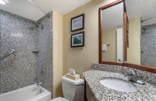 Clearwater Hotel | Comfort Inn & Suites St. Pete - Clearwater International Airport