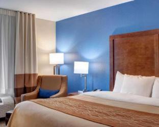 Ava Hotel | Comfort Inn & Suites