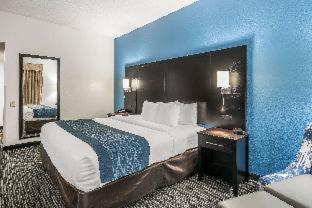 Gainesville Hotel | Comfort Inn University