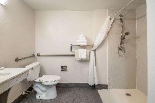 Gainesville Hotel | Comfort Inn University