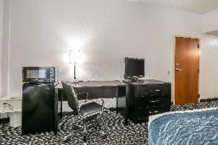 Gainesville Hotel | Comfort Inn University