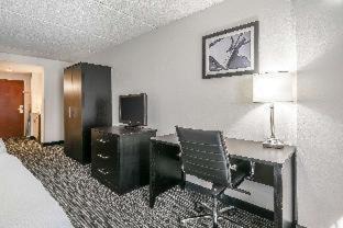Gainesville Hotel | Comfort Inn University