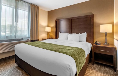 Williamsport Hotel | Comfort Inn Williamsport