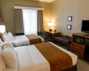 Grand Rapids Hotel | Comfort Suites Grand Rapids South