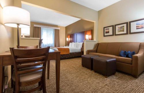 Rochester Hotel | Comfort Suites Rochester Henrietta University Area