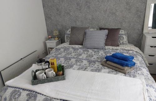 Exeter Apartment | Comfortable 2 bedroom house in historic Exeter