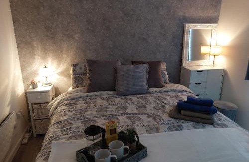 Exeter Apartment | Comfortable 2 bedroom house in historic Exeter