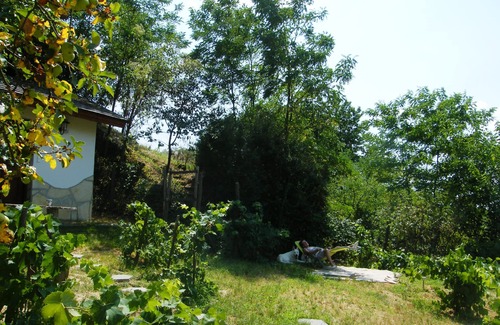 Dobrokoz House | Comfortable holiday home in the vineyards, in an absolutely quiet location