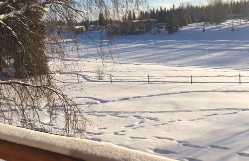 College House | Comfortable House With Kitchen On The Chena River. Family Friendly.