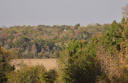 Clarksville Cabin | Comfy, Cozy Secluded Cabin !