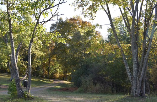 Clarksville Cabin | Comfy, Cozy Secluded Cabin !