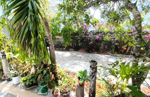 Colonia Centro Apartment | Comfy studio Yaxkin on downtown, 3 block away from sea and sunsets