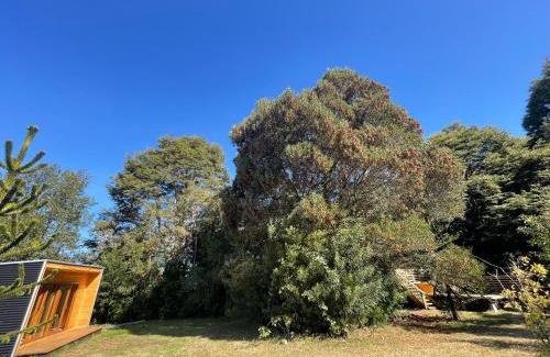 Castro House | Complejo Cabañas y Tinajas Montecarlos