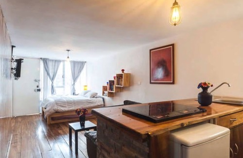 Benito Juarez Apartment | Condesa Roma WTC Loft