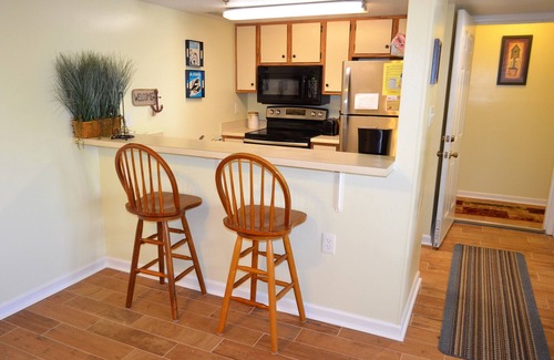 Surfside Beach Condo | Condo 250 ft from the blue Atlantic Ocean, great view & close to Myrtle beach.