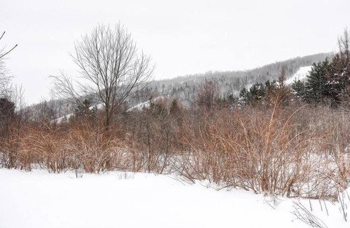 Saint-Sauveur Condo | Condo A Saint-Sauveur, Quebec