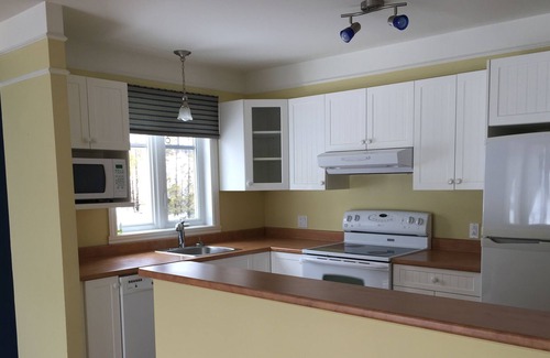 Saint Donat Condo | Condo Lac Archambault 315