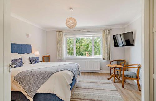 Lyme Regis House | Conifers