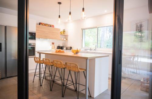 Soorts-Hossegor Villa | Connemara, Superbe Villa avec piscine, au cœur de la forêt, accès à la plage en vélo