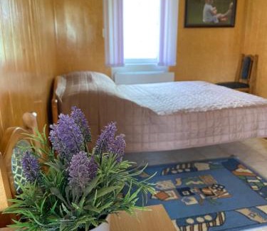 Kamenets-Podol'skiy Hotel | Constancia