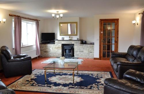 Bridport House | Copper Beech