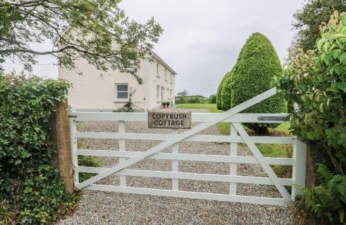 Narberth House | Copybush Cottage