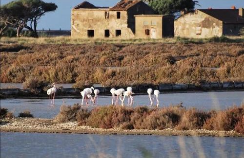 La Crau Apartment | Coquet T2 rénové, proche plages et Hyères, 4 couchages