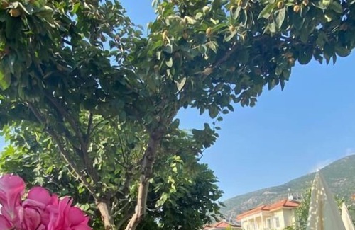 Oludeniz Hotel | Coral Butik Hotel