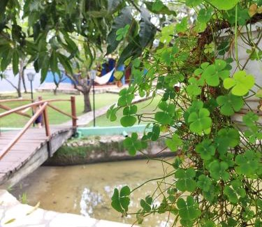 Davidopolis Ski Chalet | Cores do Cerrado - chalés e suítes