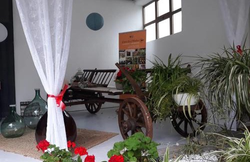 Faedis Bed & Breakfast | Corte dei Molini