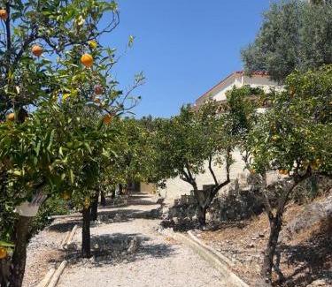 Yunquera House | Cortijo Chupito
