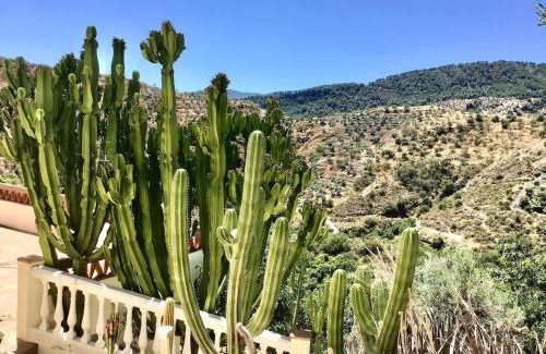 Yunquera House | Cortijo Chupito