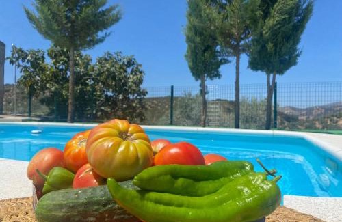 Algarinejo House | Cortijo El Nevazo