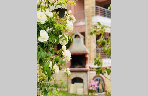 Nikita Apartment | Cosy 1-bdrm Nikiti apartment short walk to beach