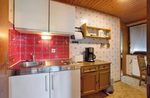 Todtmoos Apartment | Cosy Apartment in a Spa Town in the Southern Black Forest with Mountain View, Garden & Wi-Fi