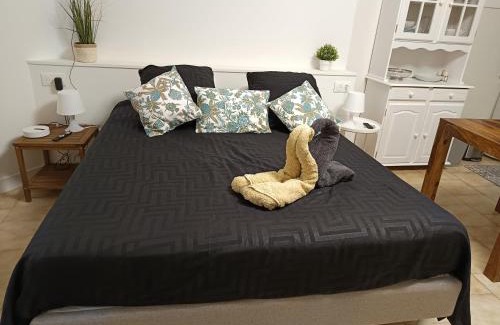 La Celle-sous-Gouzon Apartment | Cosy Arles