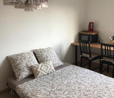 Colmar Centre Ville Apartment | COSY COLMAR
