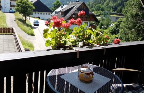 Menzenschwand-Hinterdorf Apartment | Cosy flat in St. Blasien in the Black Forest with balcony and private terrace