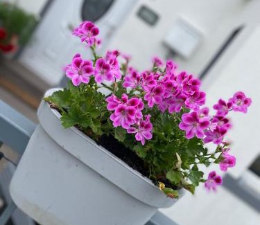 Allonby House | Cosy Seaside Cottage