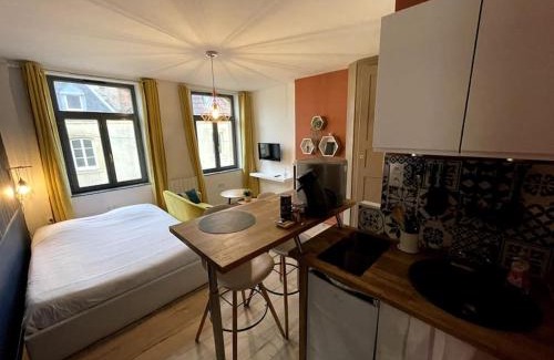 Metz-Centre – Ancienne Ville Apartment | Cosy studio lumineux Metz hypercentre