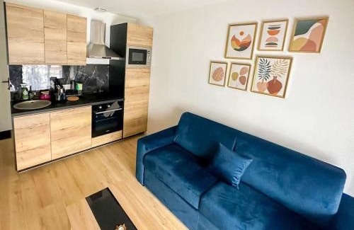 Saint-Cyprien Apartment | Cosy Studio Toulouse centre