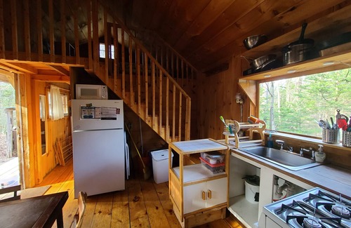 Jamaica Cottage | Cottage 7min to Ski Stratton-Wood Stove,Starry Skies,Fire Pit,Views,Dogs OK