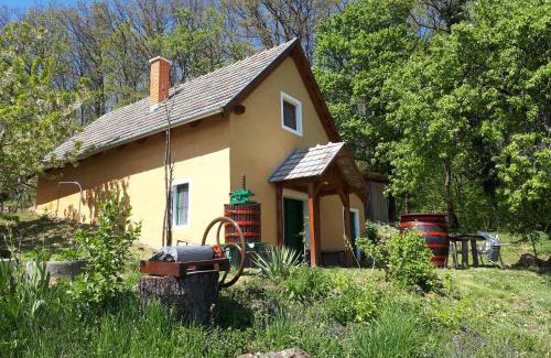 Balatonhenye House | Cottage by the woods