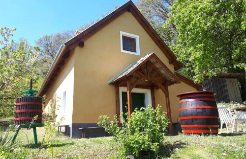 Balatonhenye House | Cottage by the woods