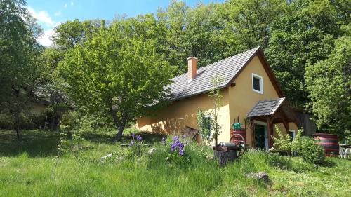 Balatonhenye House | Cottage by the woods
