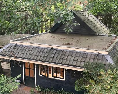 Aerdenhout House | Cottage Het Beukenootje