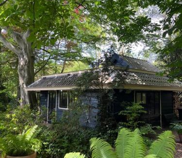 Aerdenhout House | Cottage Het Beukenootje