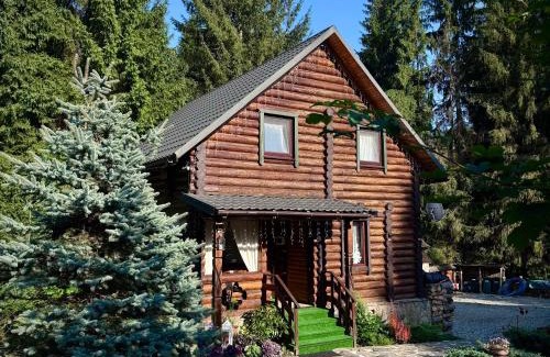 Bukovel Cabin | Cottage Kalinka
