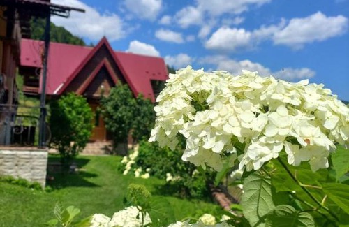 Yaremche Ski Chalet | Cottage "Karpatske Shale"