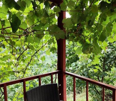 Adjara House | Cottege Merisi's Side